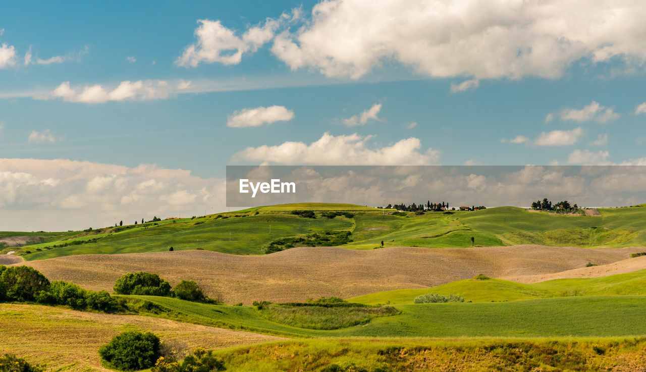 Scenic view of green landscape against sky