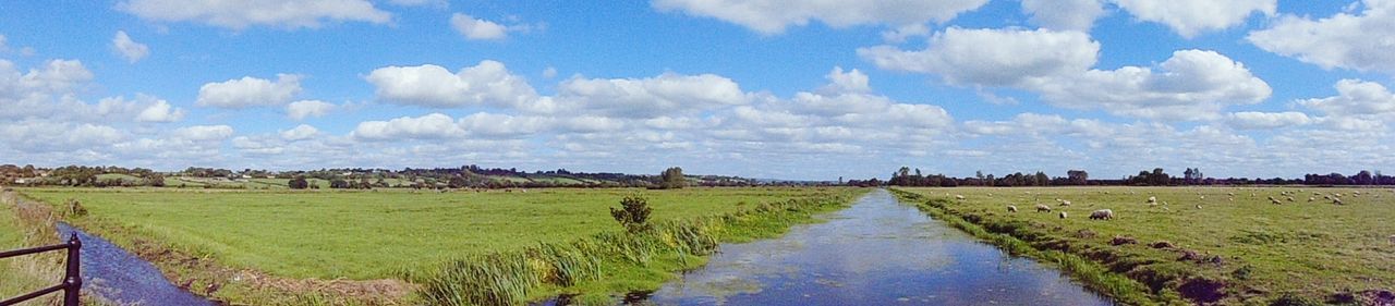 VIEW OF COUNTRY ROAD ALONG LANDSCAPE