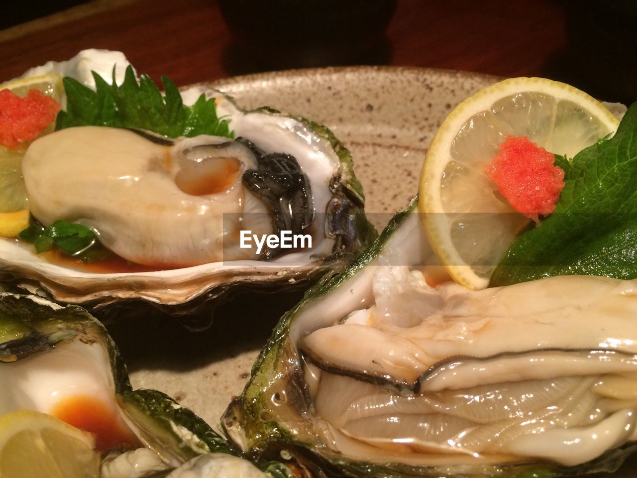 Close-up of oysters served in plate