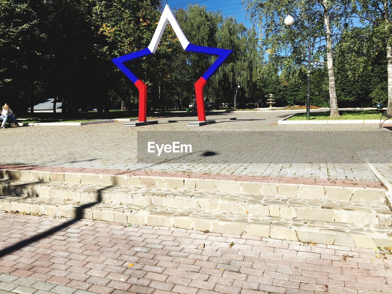 VIEW OF TREES IN THE PARK