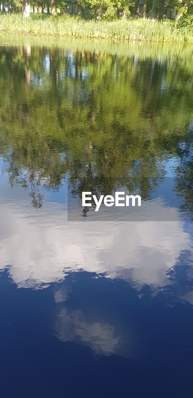 REFLECTION OF TREES ON LAKE