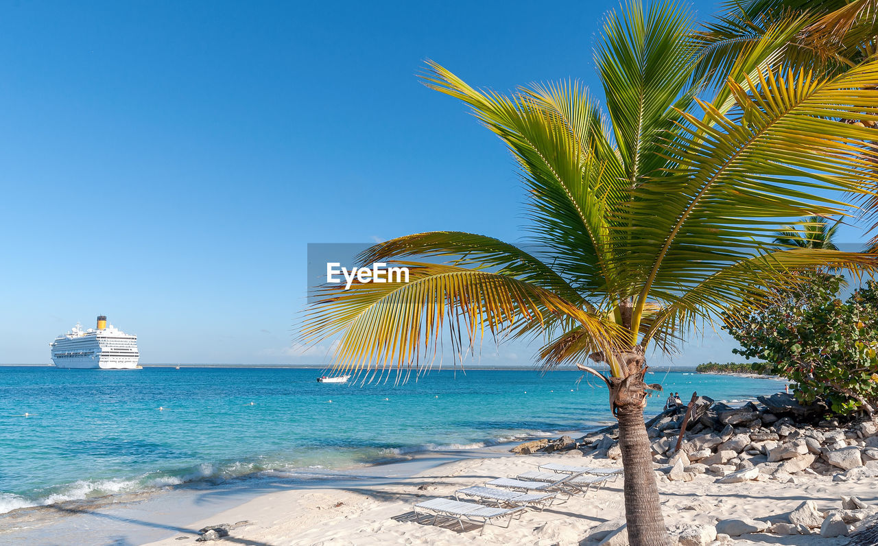 PALM TREE BY SEA AGAINST CLEAR SKY