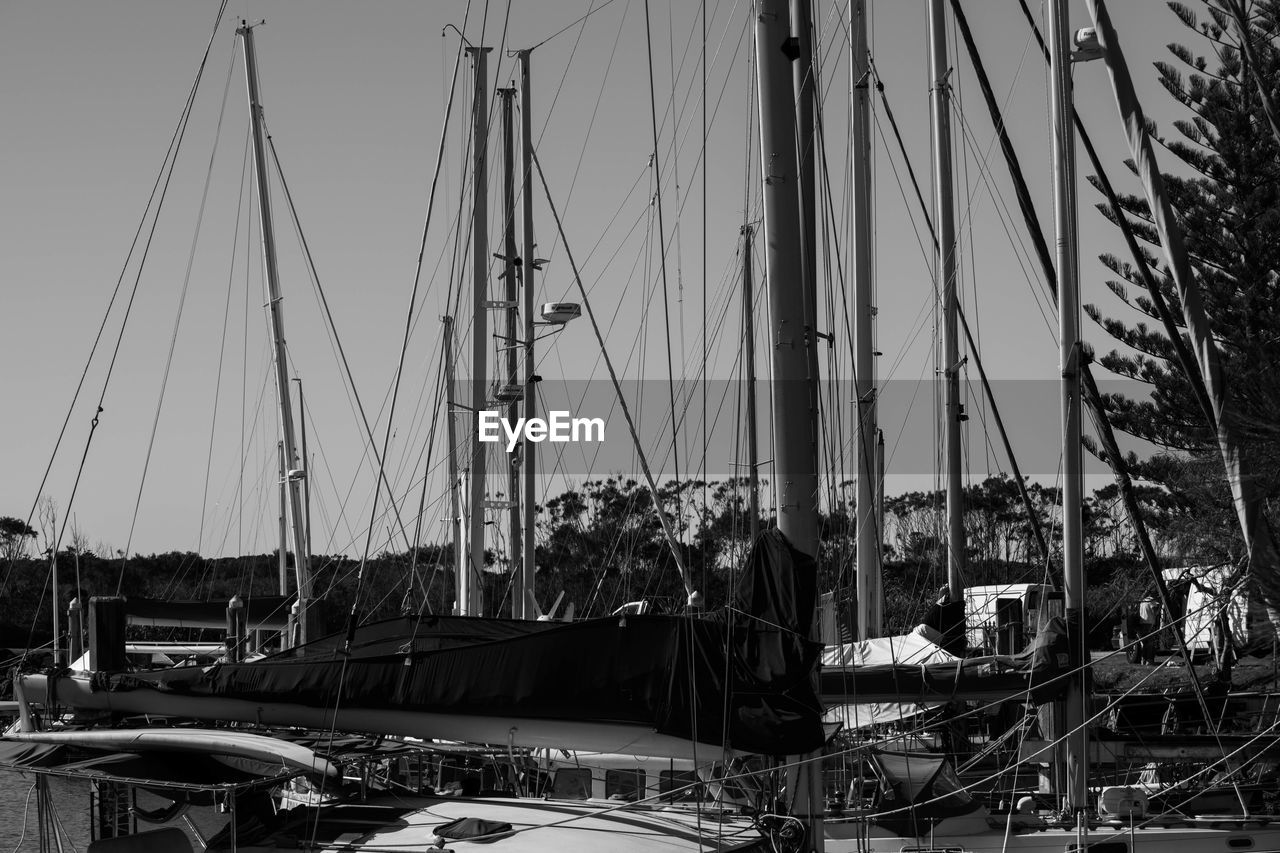 SAILBOATS MOORED AT HARBOR