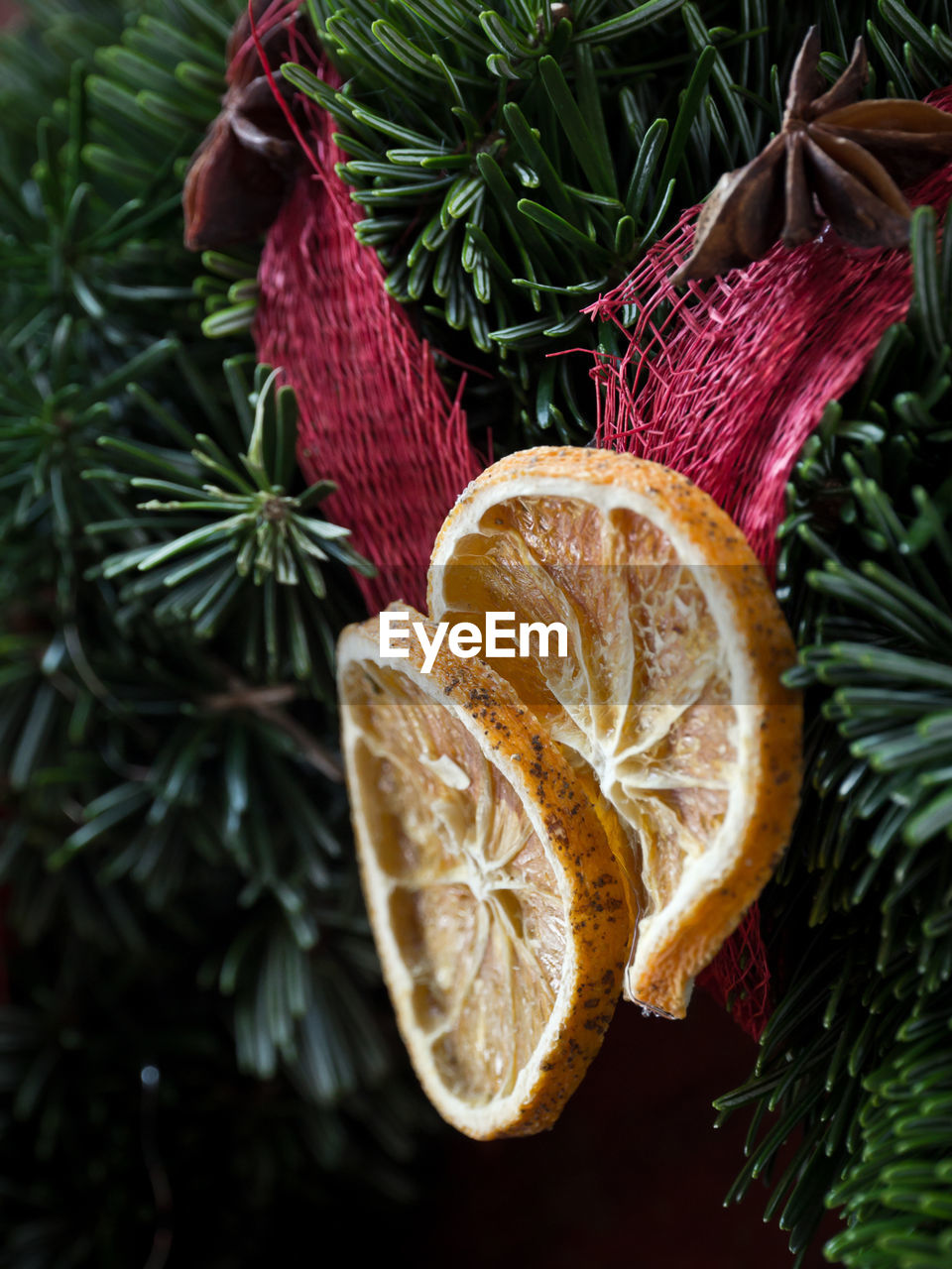 HIGH ANGLE VIEW OF CHRISTMAS TREE ON TABLE