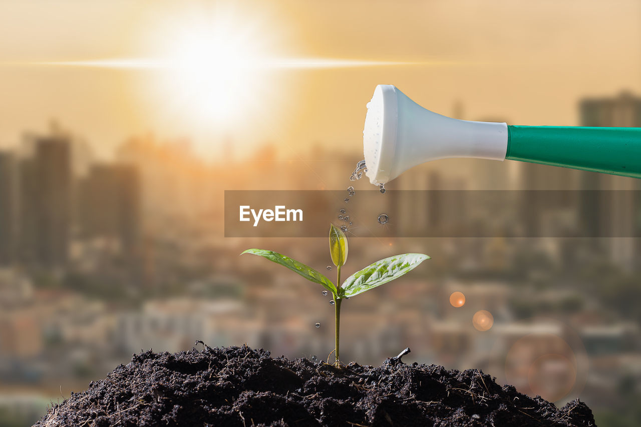 Close-up of garden equipment watering plant