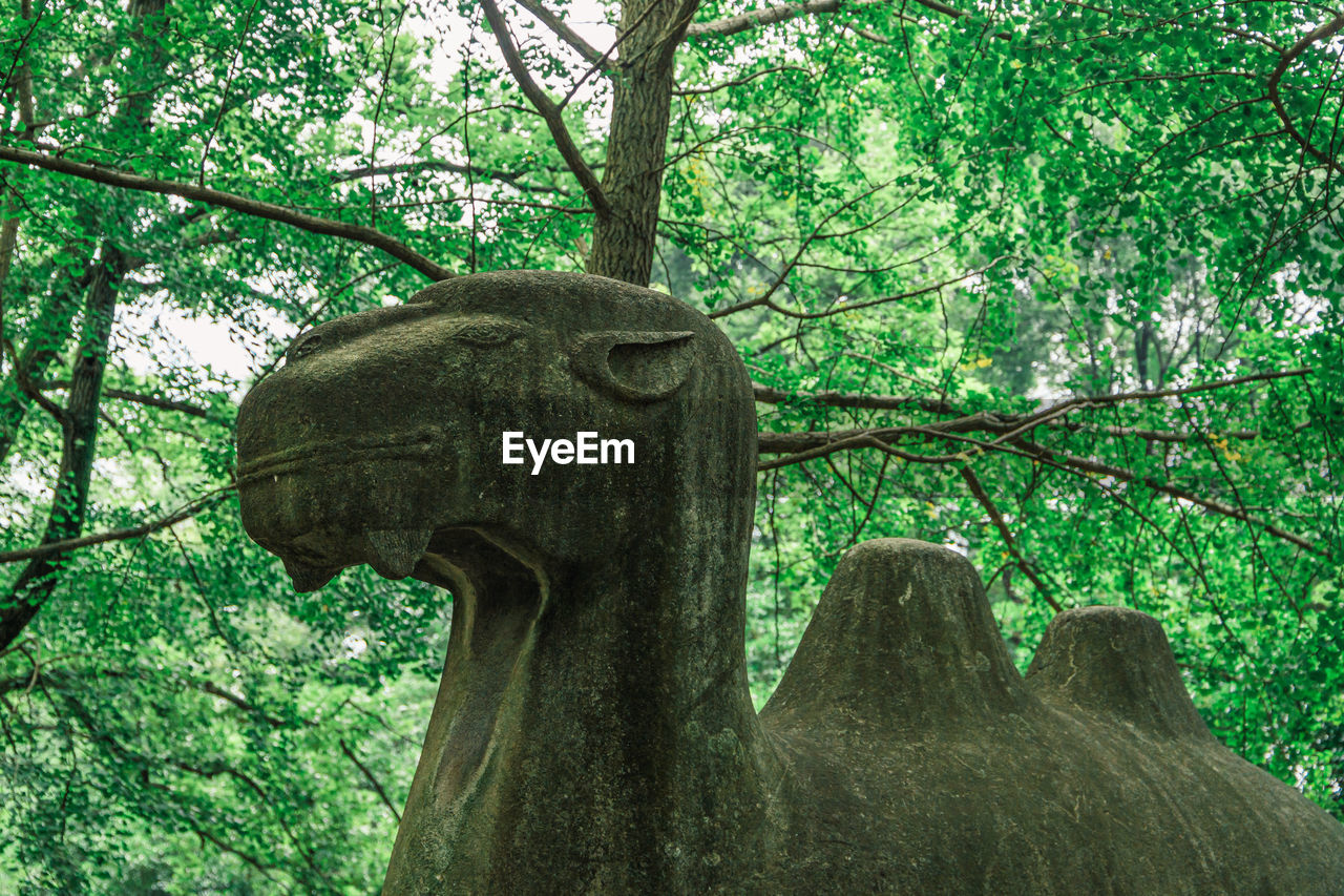 Low angle view of camel statue against tree trunk