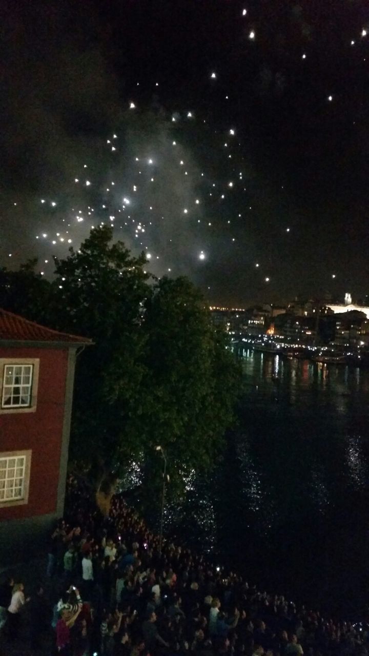 VIEW OF ILLUMINATED TREES AT NIGHT