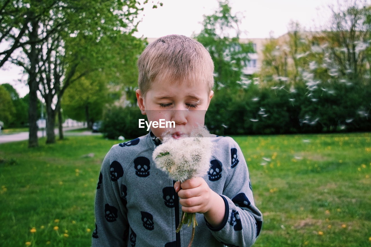 Close-up of boy holding dandelions