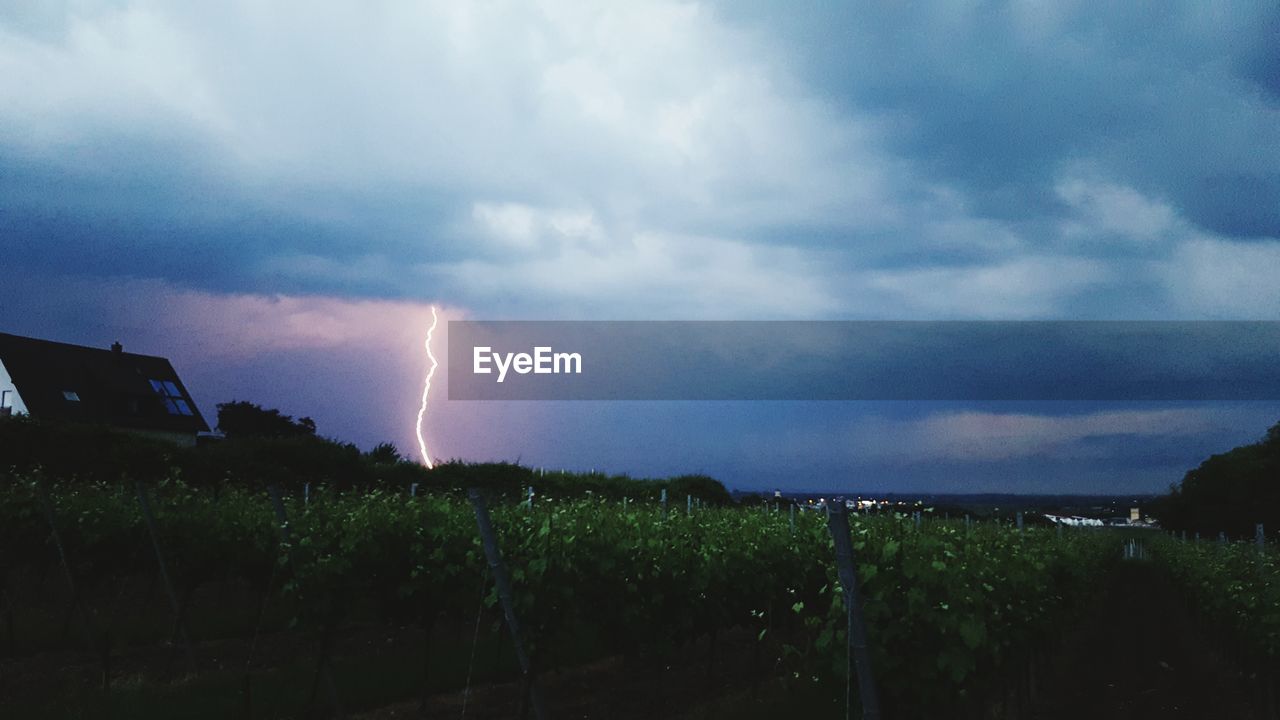 Low angle view of lightning in front of field against cloudy sky at dusk