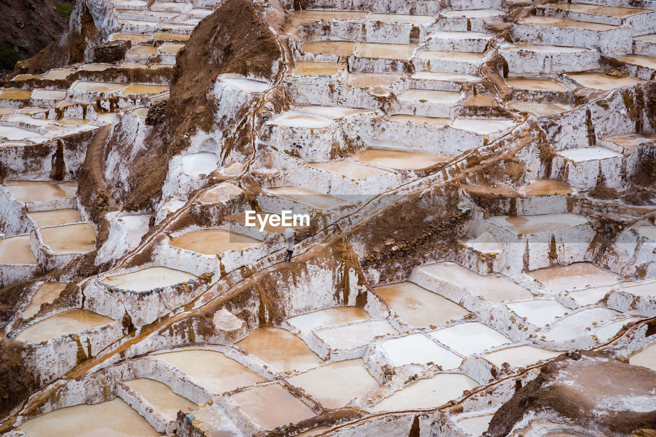 HIGH ANGLE VIEW OF TREES DURING WINTER