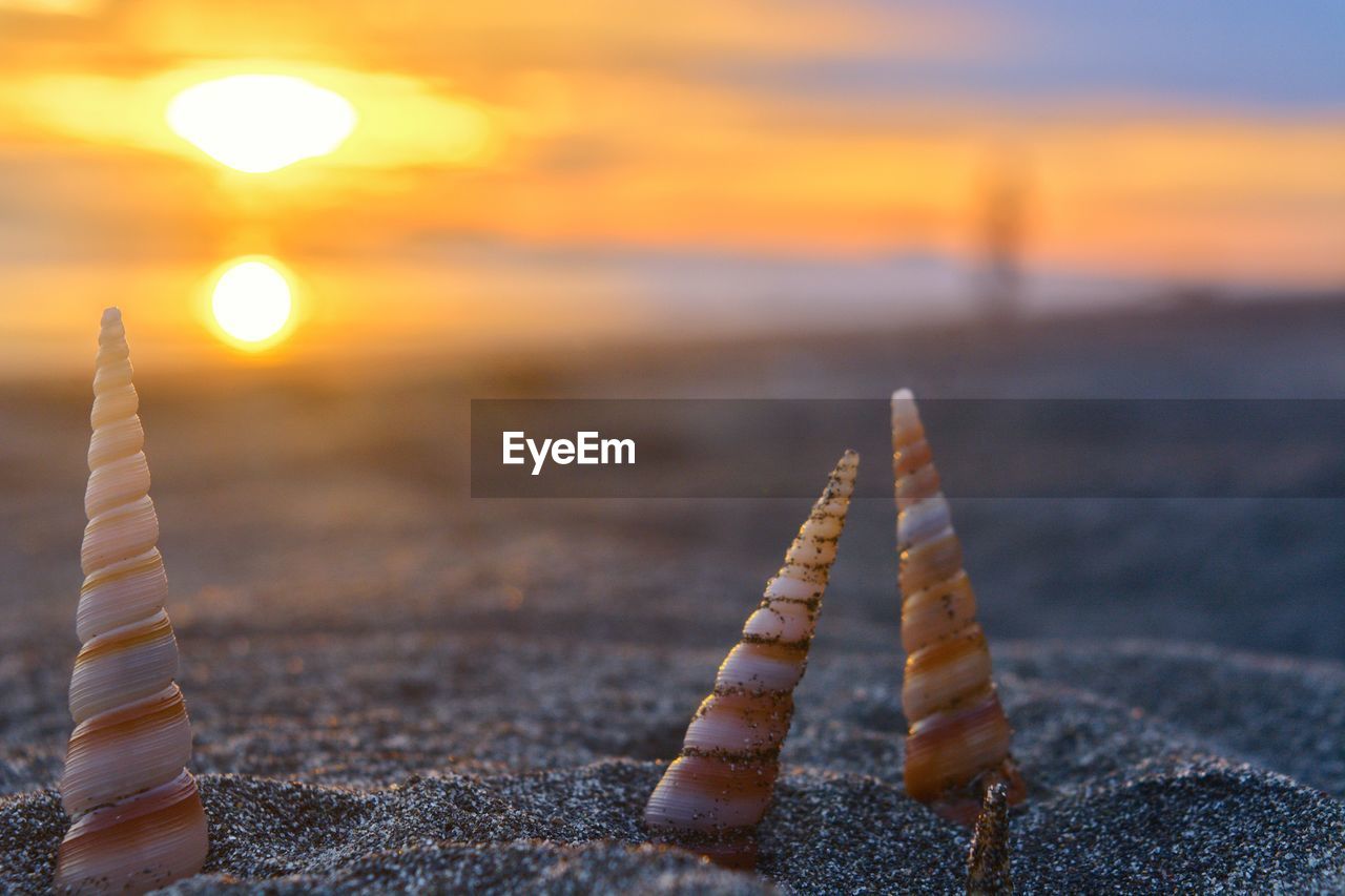 Close-up of wood at beach against sky during sunset