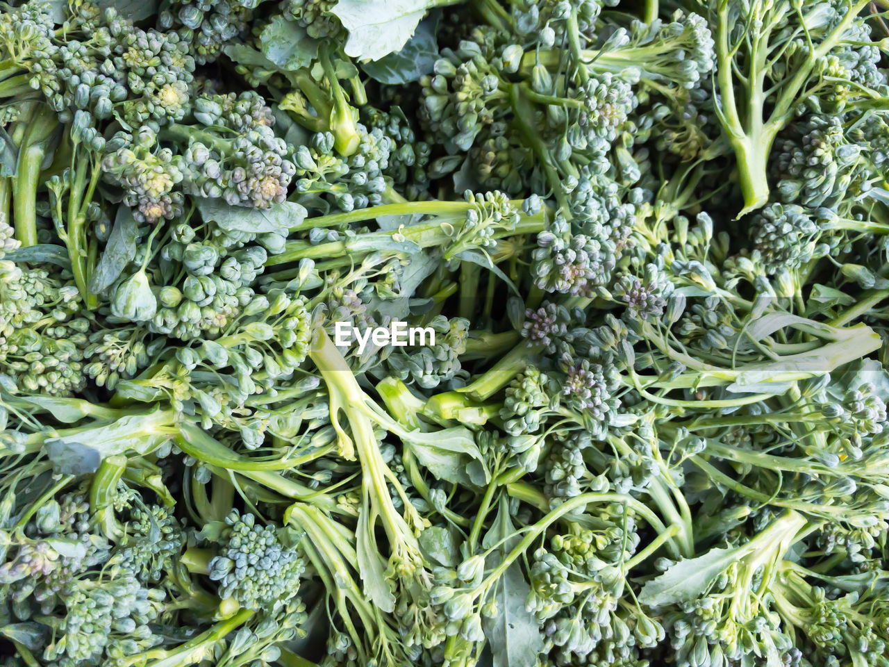 FULL FRAME SHOT OF FRESH GREEN VEGETABLES IN MARKET