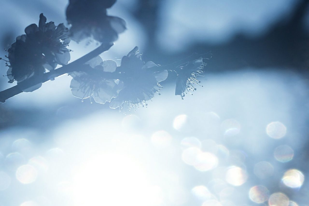 CLOSE-UP OF WATER DROP AGAINST THE SKY