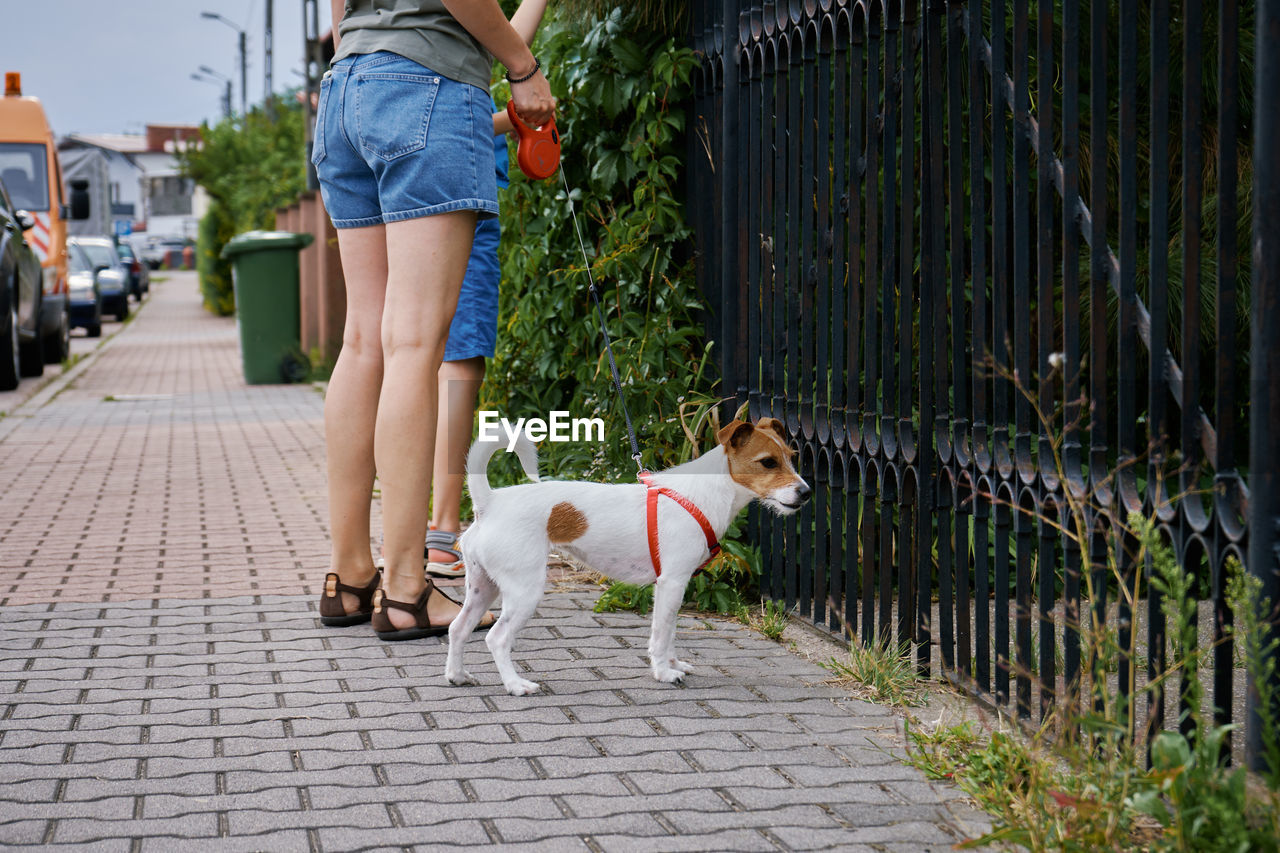 Woman walking at city street with dog