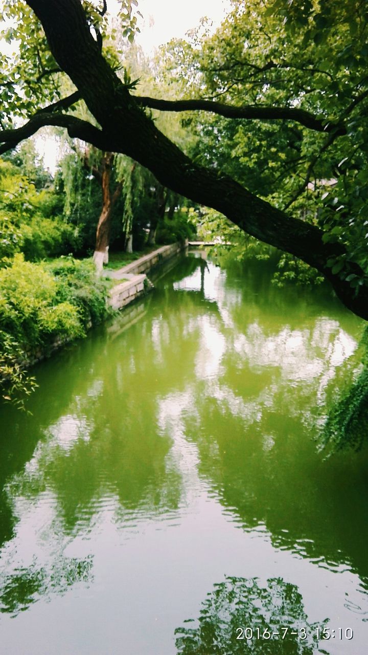 SCENIC VIEW OF RIVER AMIDST TREES