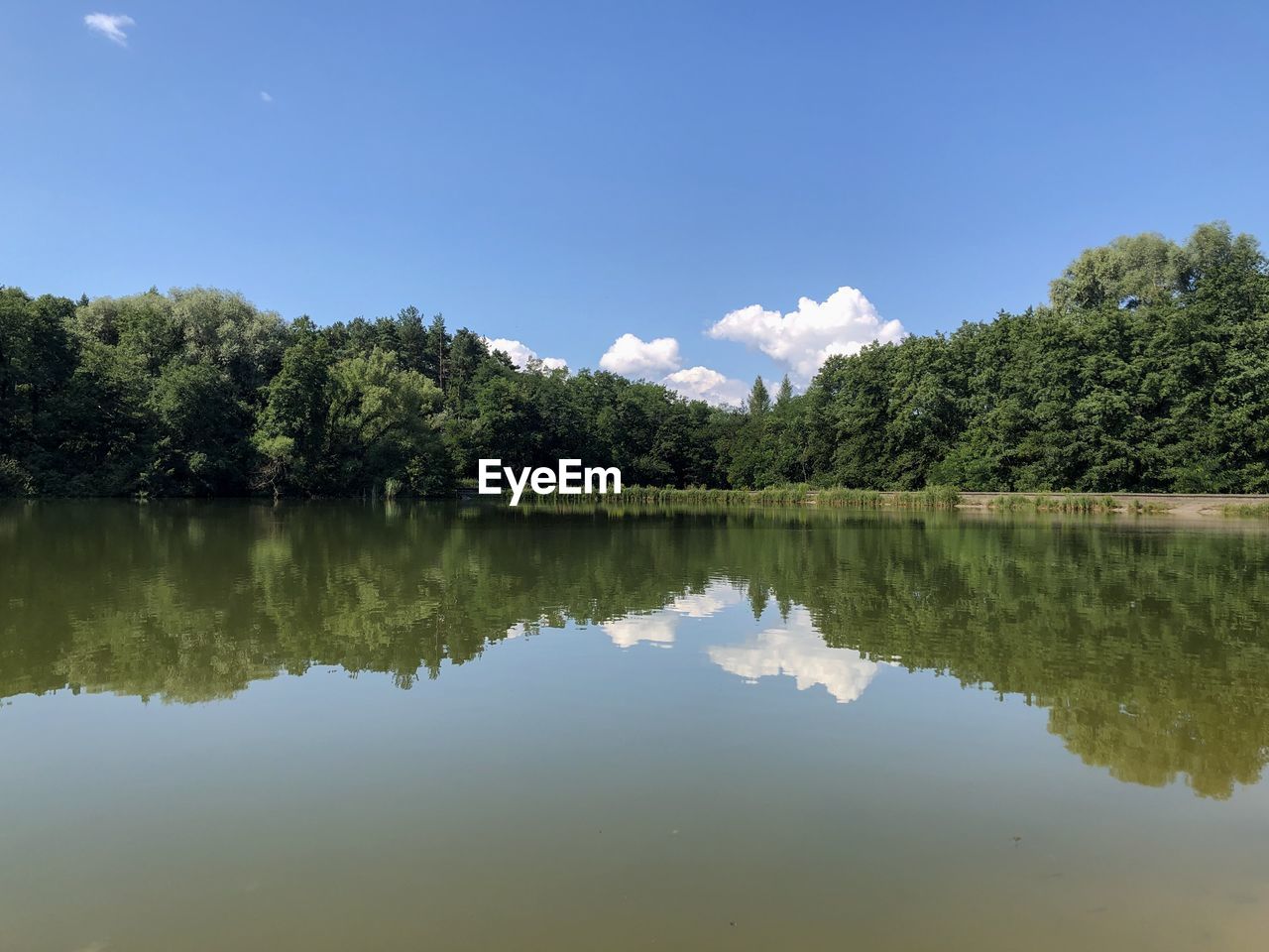 Scenic view of lake by trees against sky