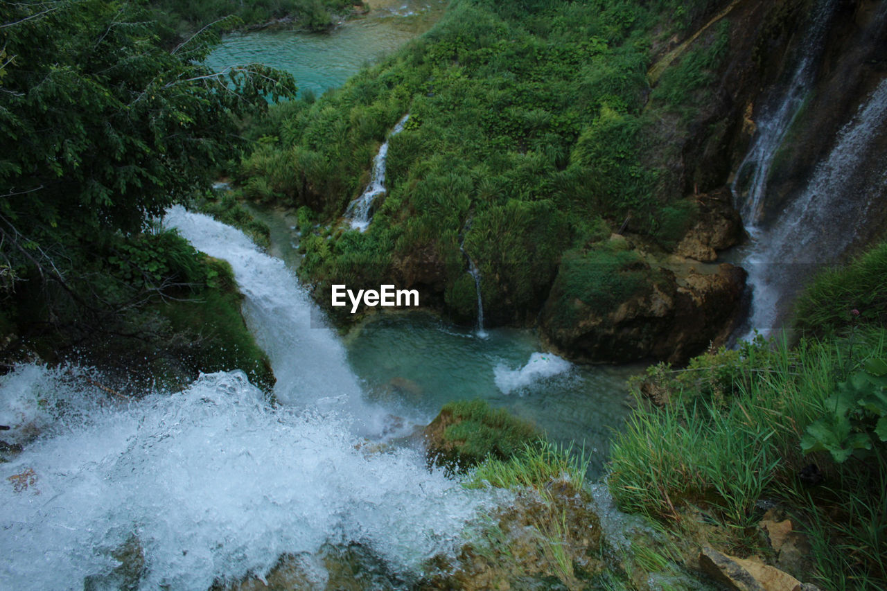 Scenic view of waterfall in forest