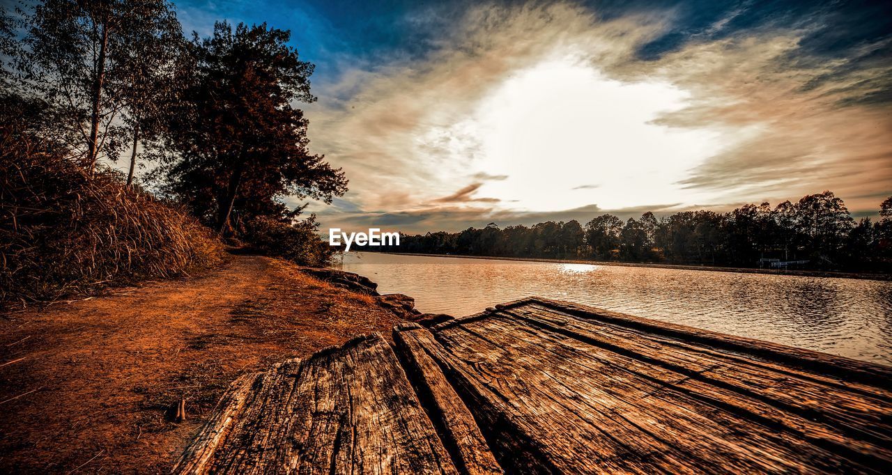 TREES BY LAKE AGAINST SKY DURING SUNSET