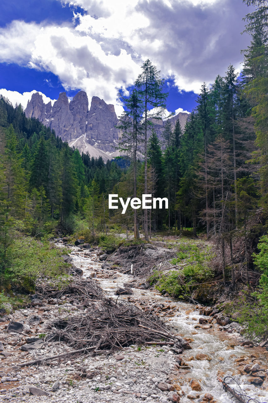 Stream, forest and mountains