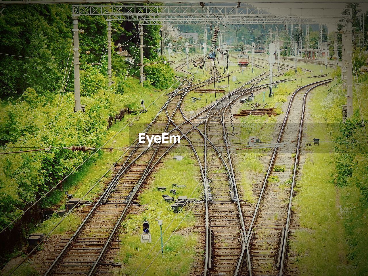 Railroad tracks on field by trees