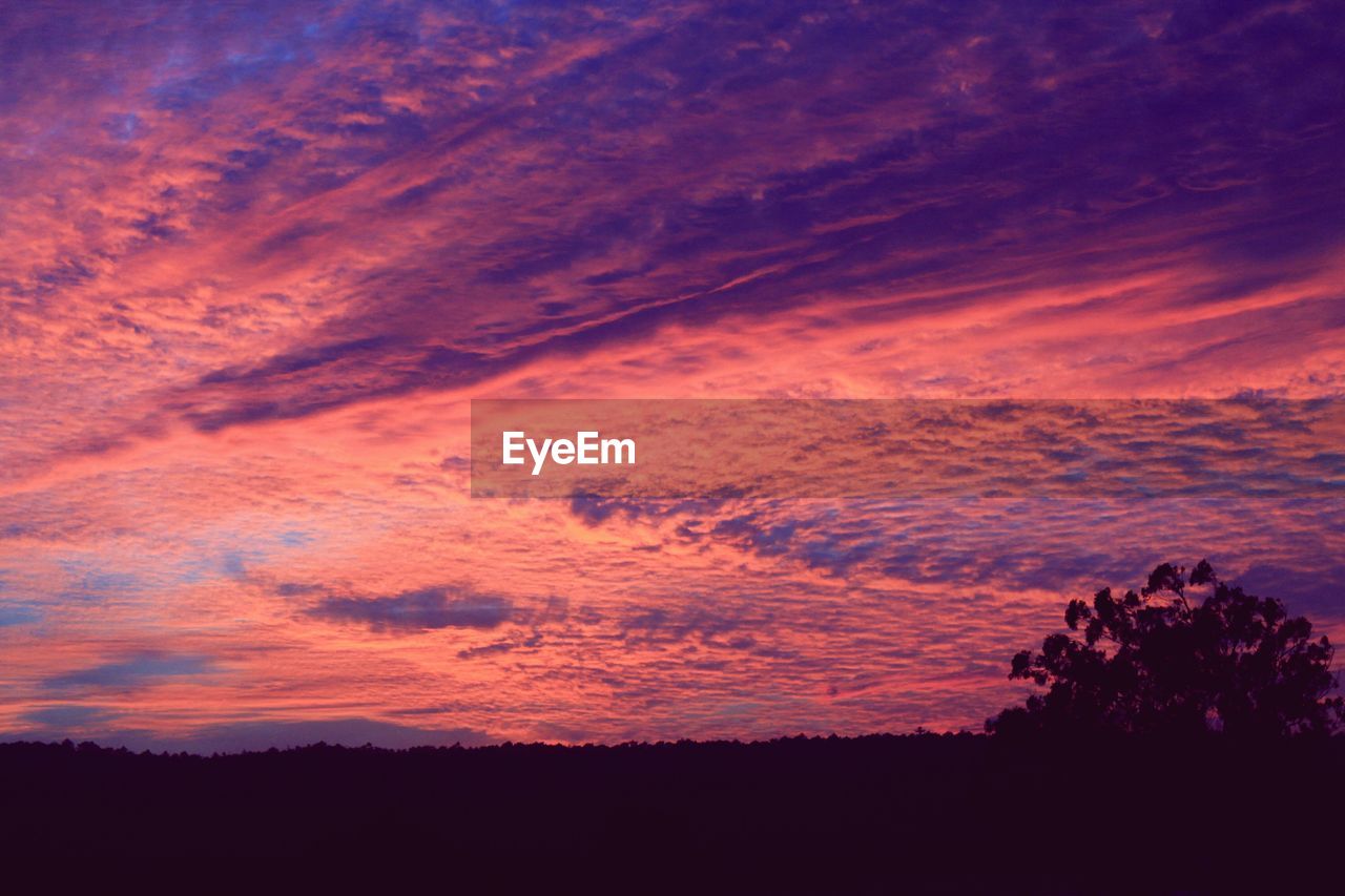 Scenic view of silhouette trees against sky at sunset