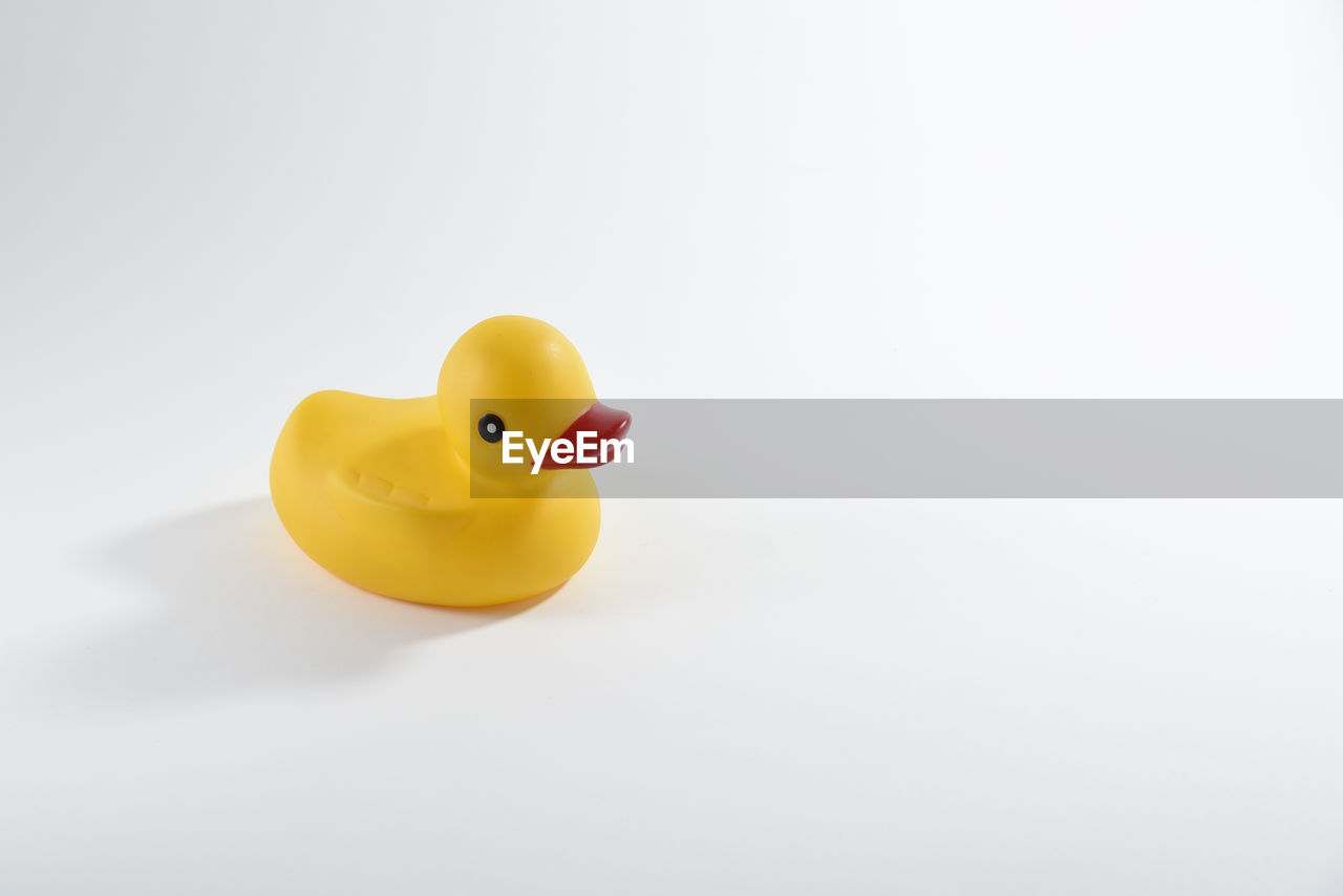 Close-up of rubber duck on white background