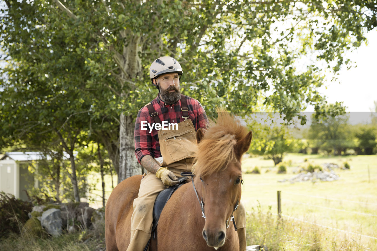 Male farmer in helmet riding horse