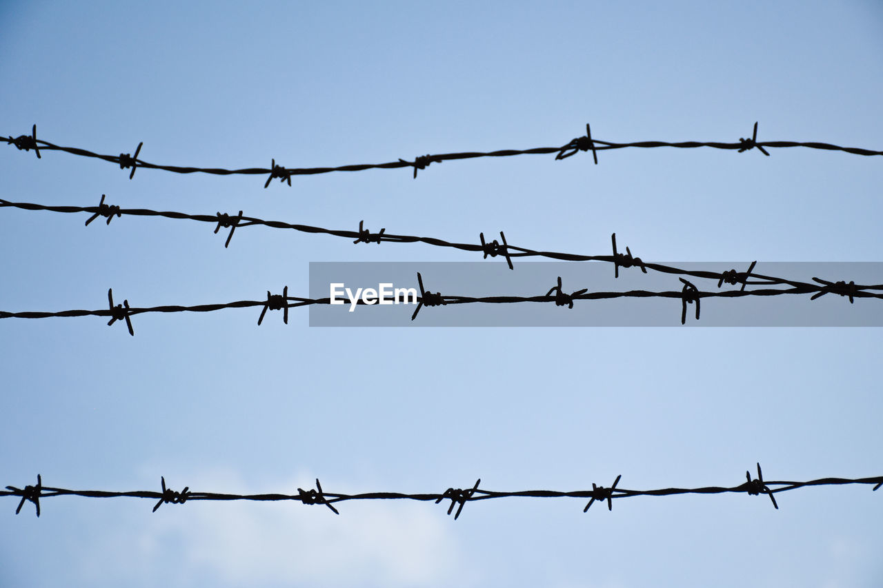 fence, protection, security, wire, barbed wire, wire fencing, metal, branch, sharp, home fencing, outdoor structure, chainlink fence, forbidden, sign, line, warning sign, sky, communication, no people, razor wire, nature, twig, electricity, exclusion, architecture, wire mesh, outdoors, day