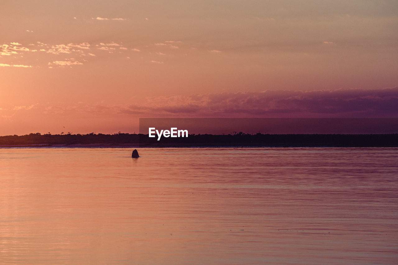 Scenic view of sea at sunset