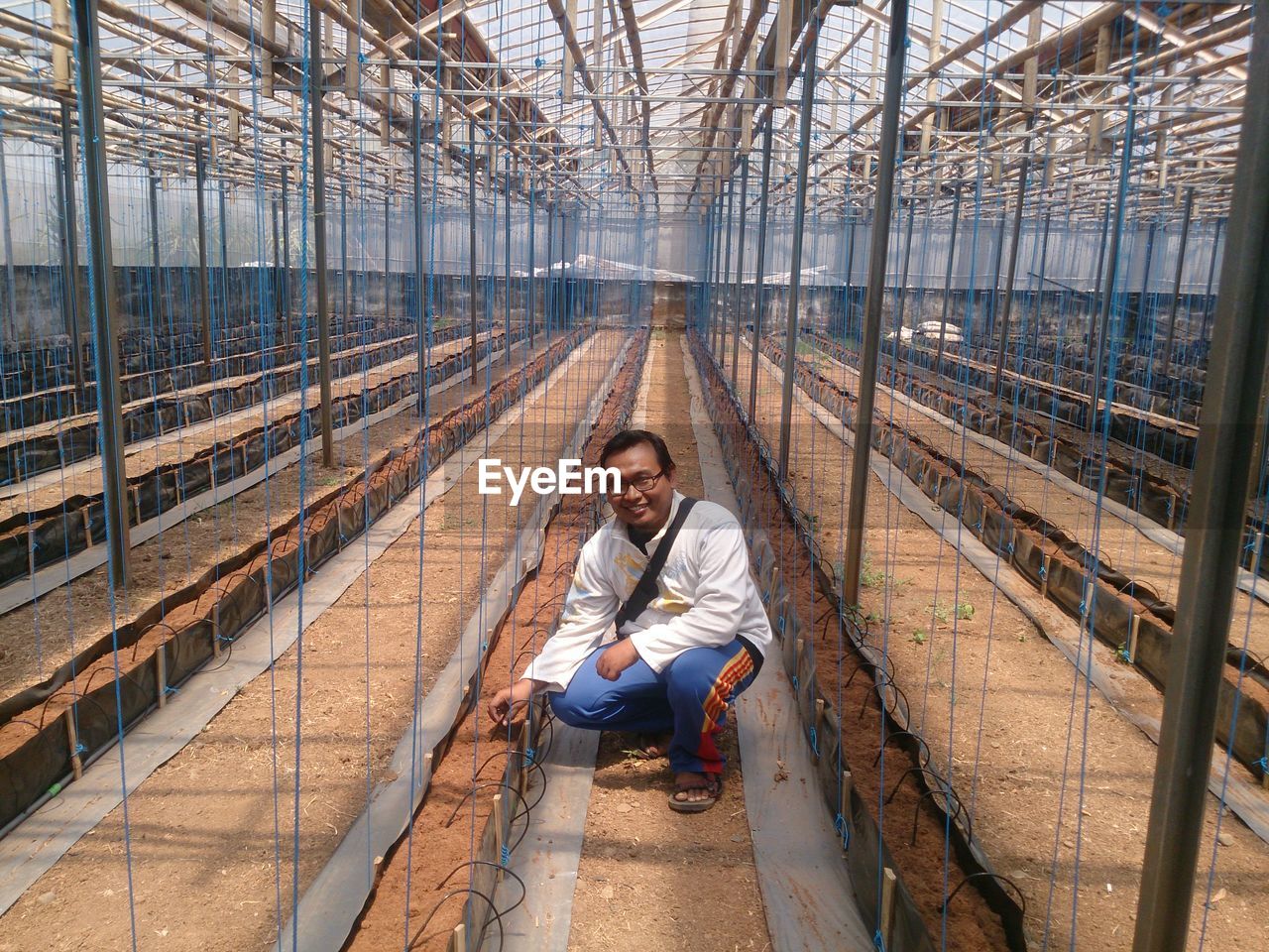 Portrait of smiling man crouching in greenhouse