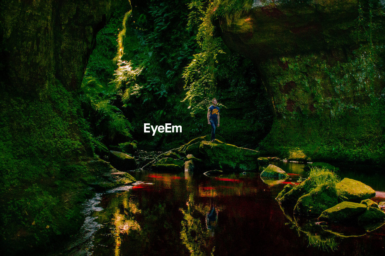 Full length of man standing on rock by lake in forest