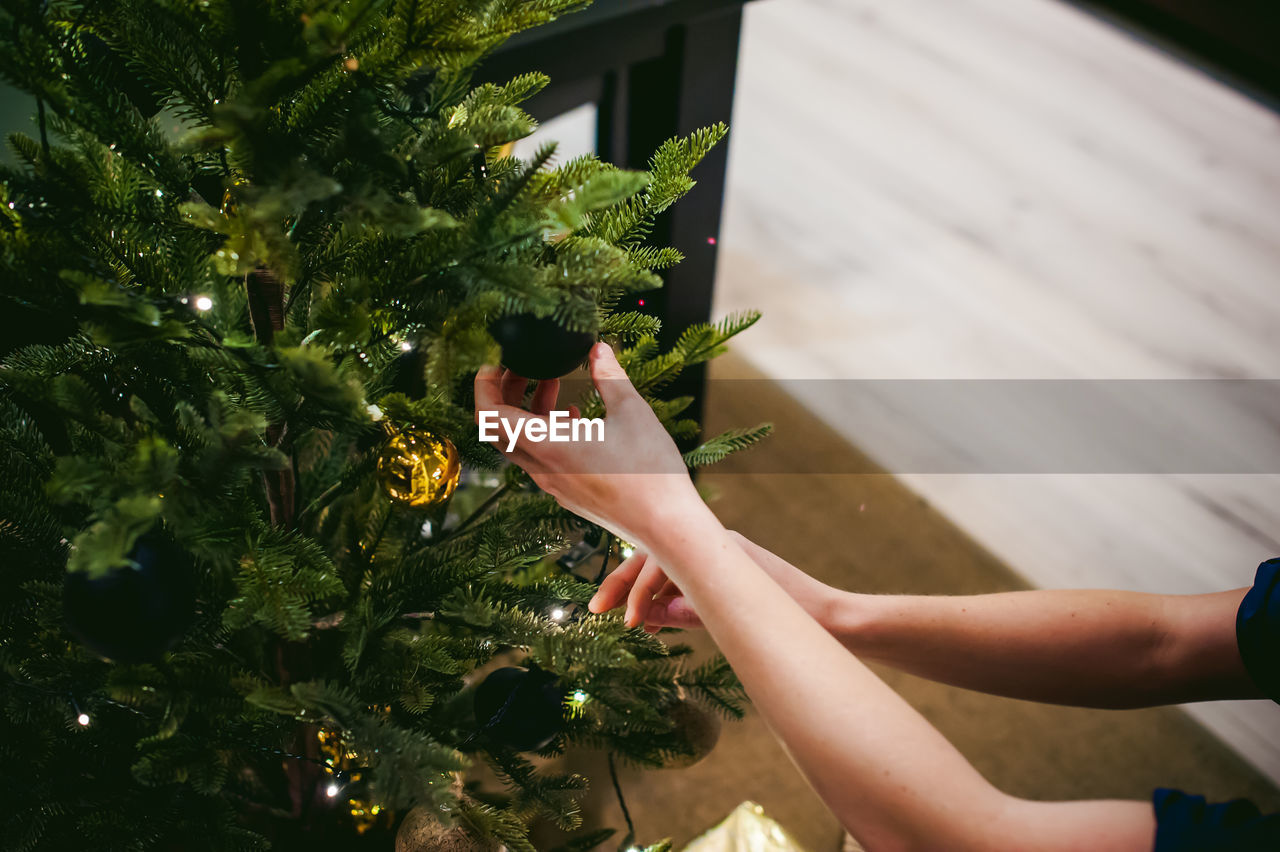 Cropped hands of woman holding christmas tree