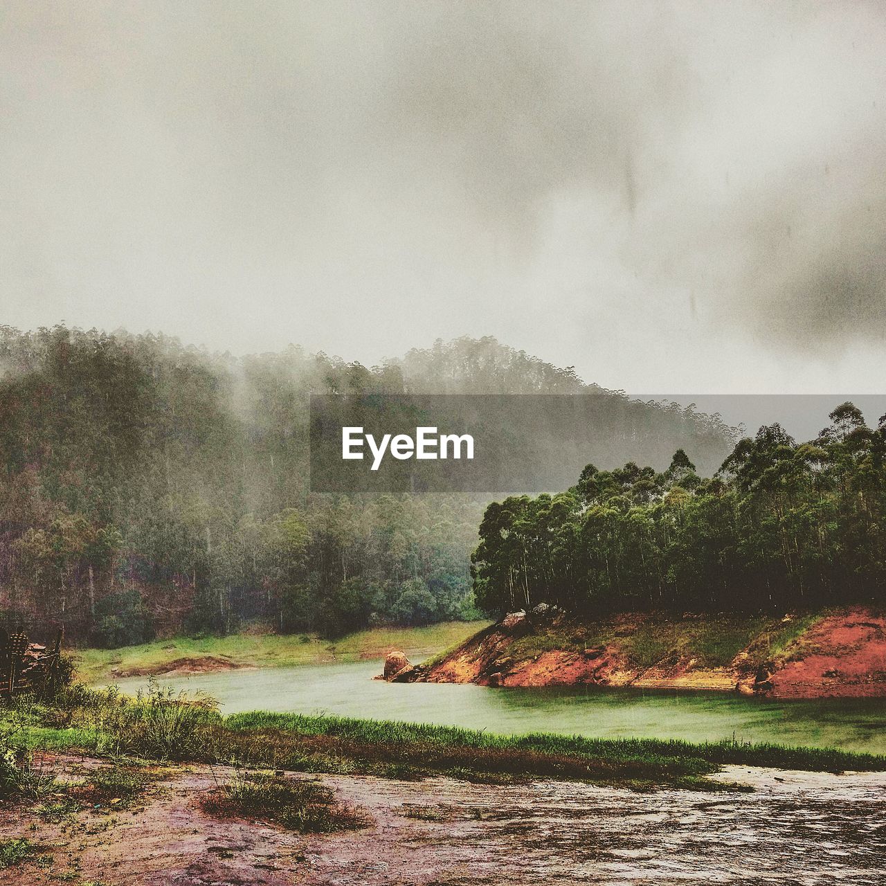Scenic view of river against trees during rain