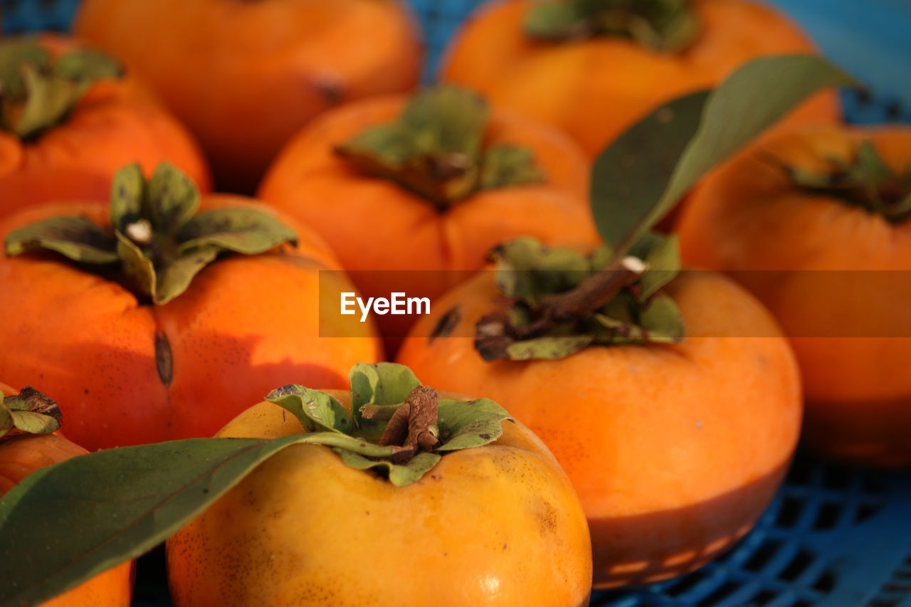 Close-up of oranges