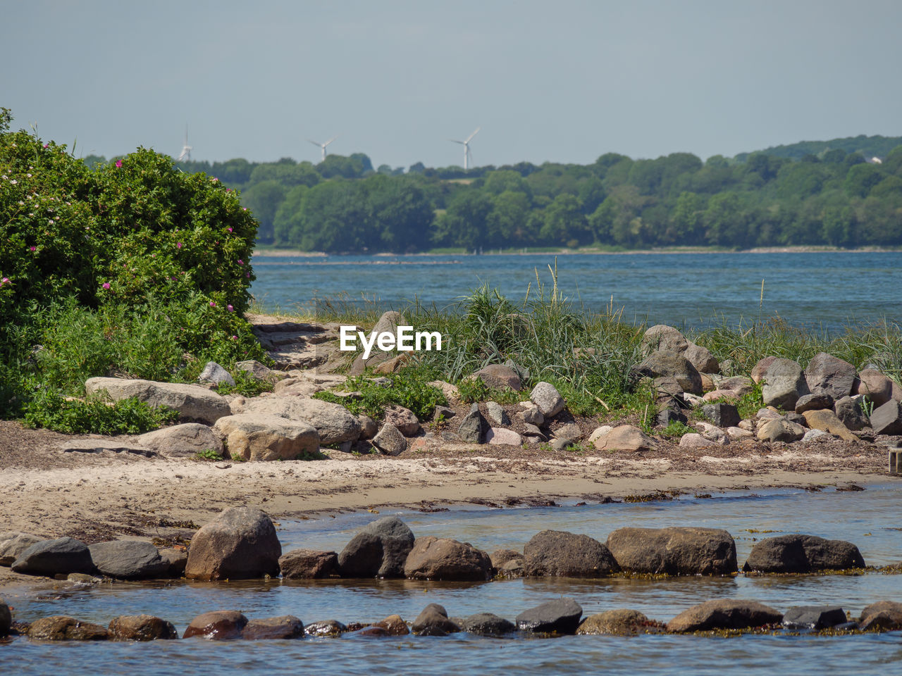 SCENIC VIEW OF LAKE AGAINST TREES