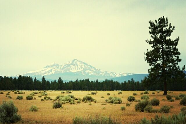 SCENIC VIEW OF MOUNTAINS