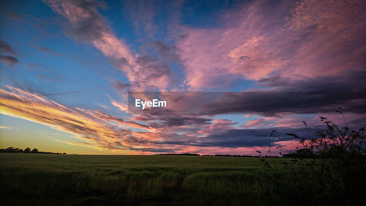 Scenic view of field against sky during sunset