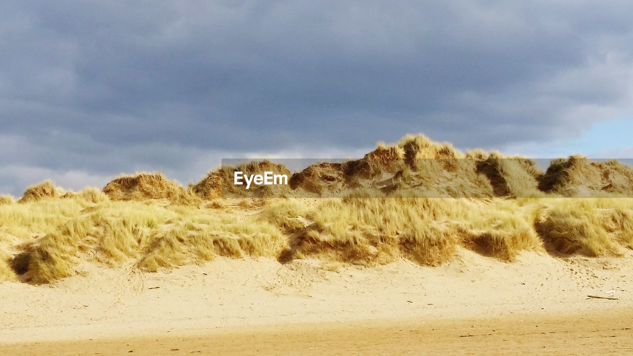 SCENIC VIEW OF LANDSCAPE AGAINST CLOUDY SKY