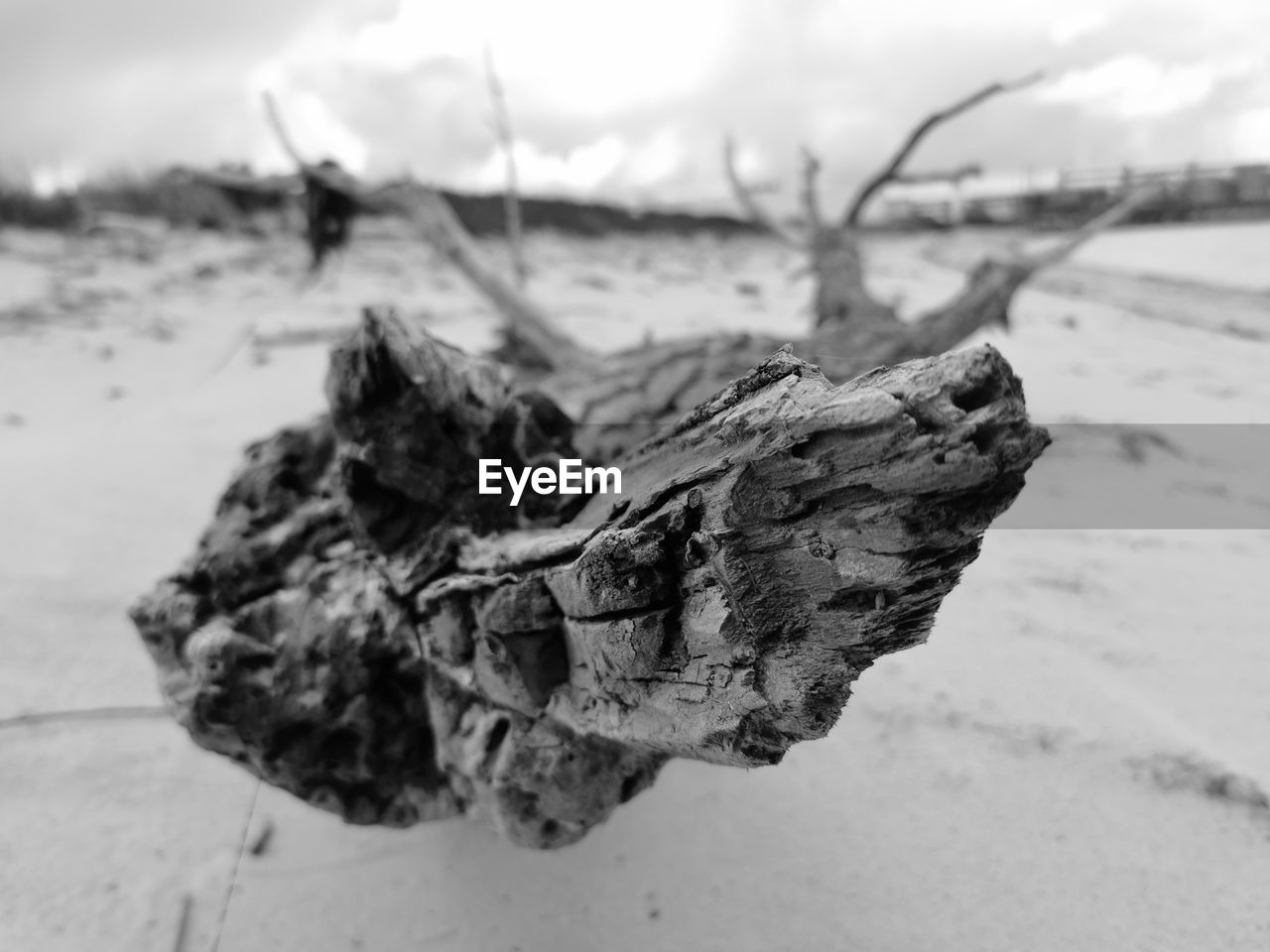 CLOSE-UP OF DRIFTWOOD ON SAND AT BEACH AGAINST SKY
