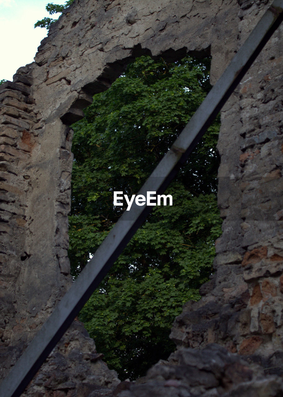 LOW ANGLE VIEW OF WALL AND TREES BY BUILDING