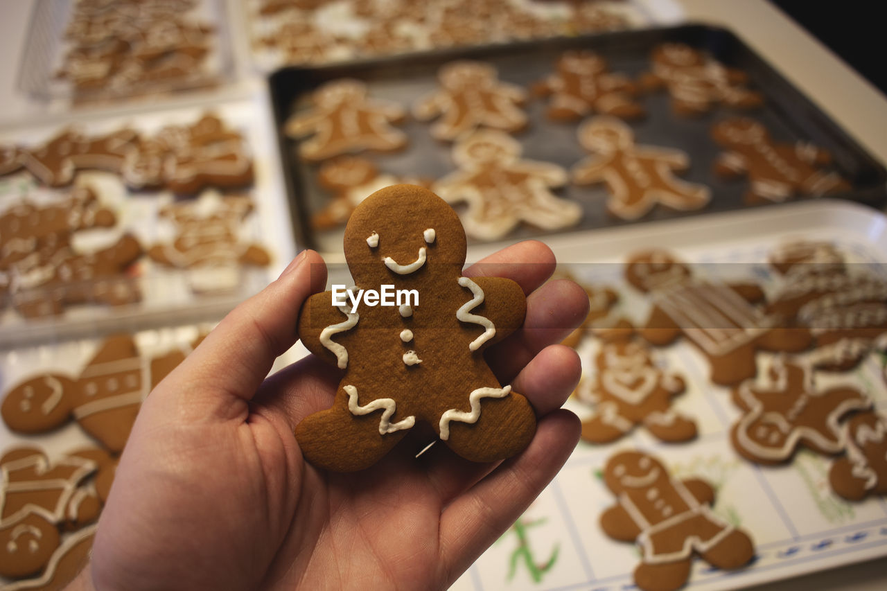 Gingerbread cookie and friends