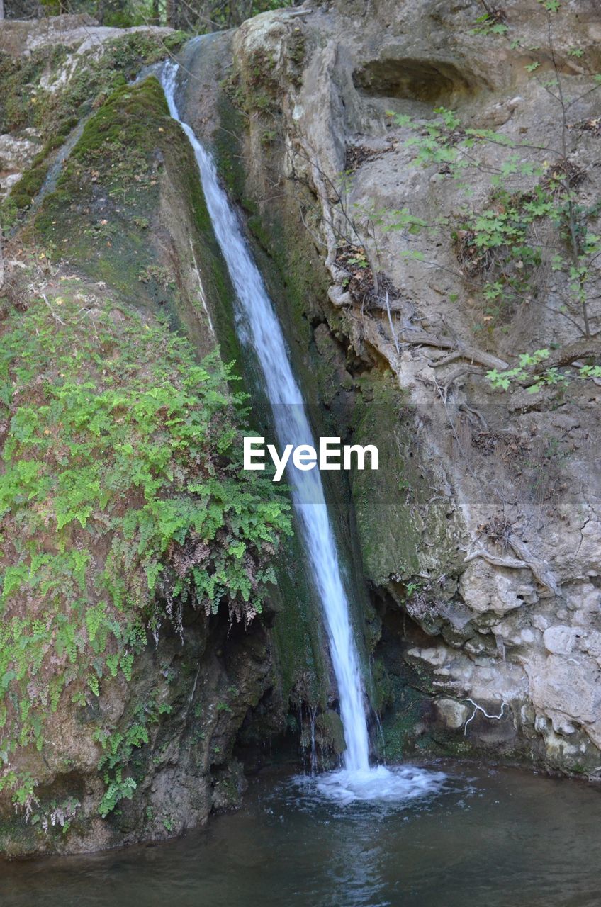 WATERFALL IN FOREST