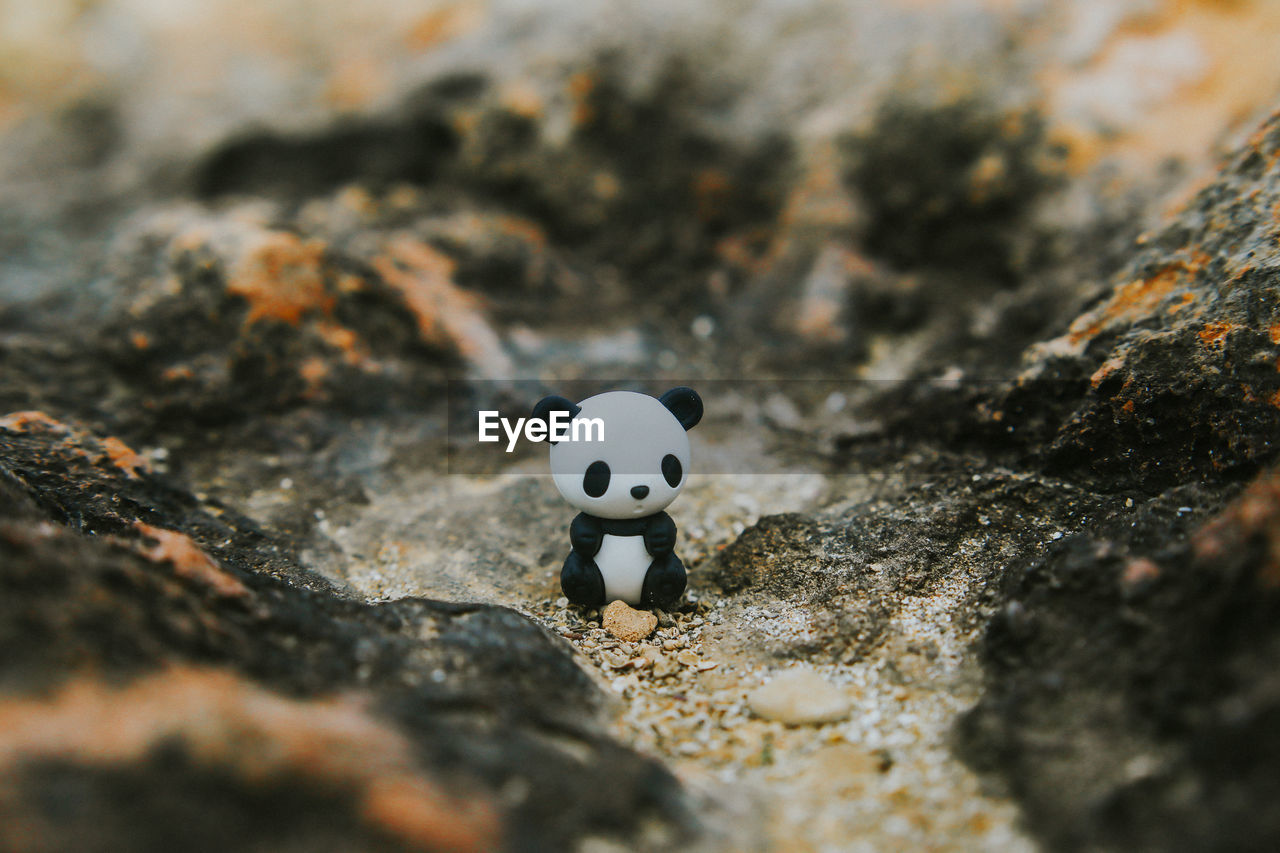 High angle view of toy panda on sand at desert