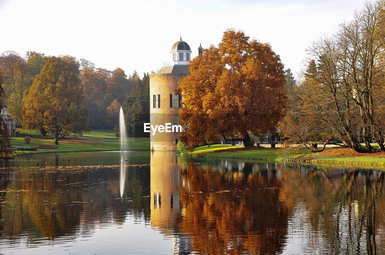 Reflection of trees in water