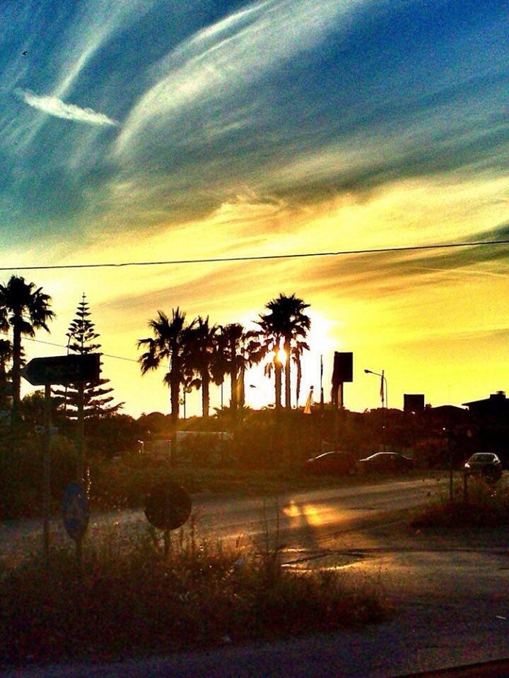 VIEW OF PALM TREES AT SUNSET