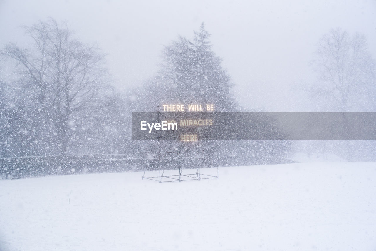 Illuminated signboard against bare trees during snowfall