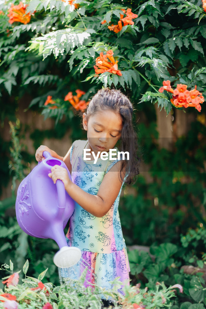 Diverse mixed race pre school girl outdoors during summer watering plants in garden