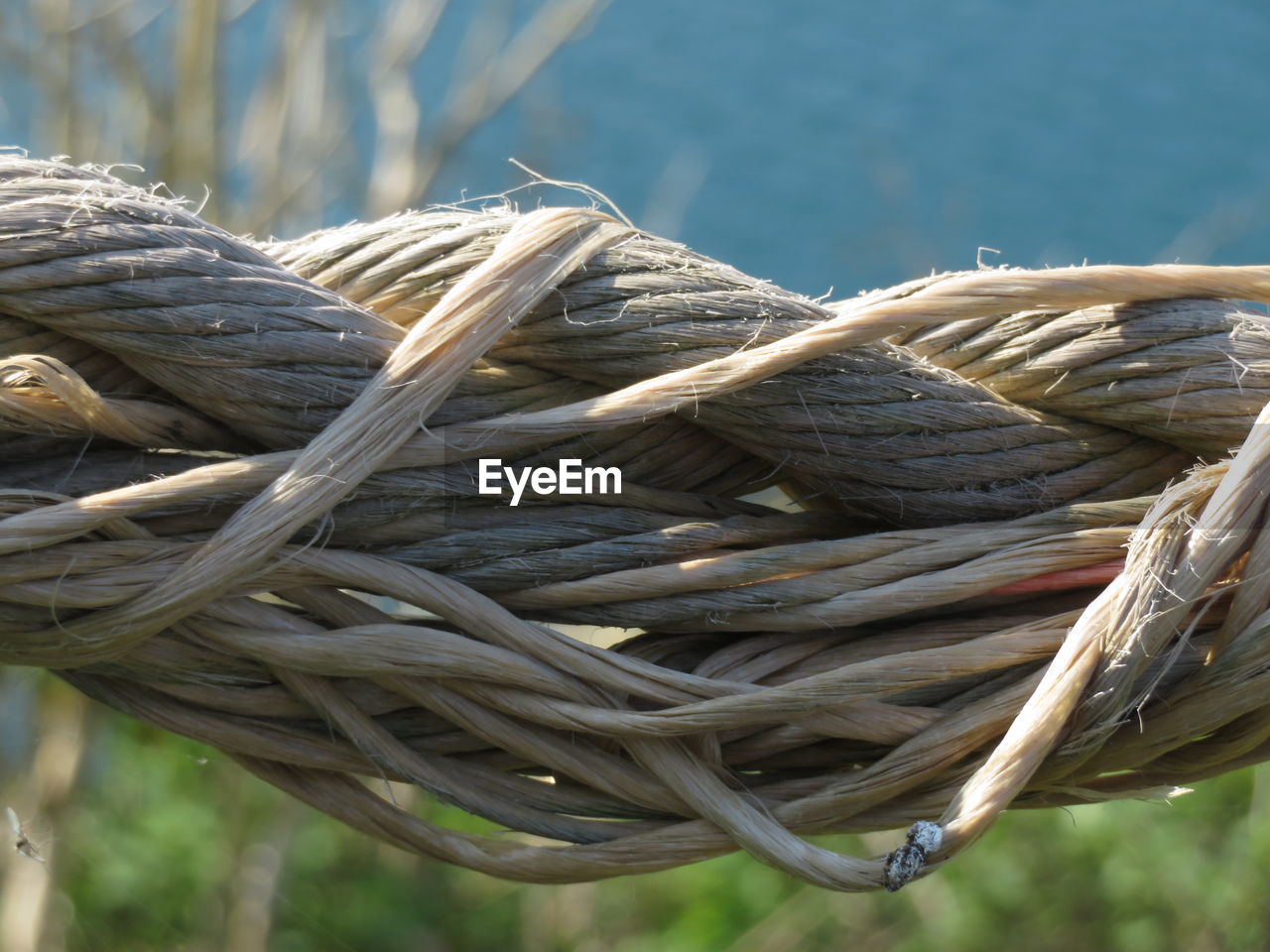 Close-up of rope tied to water