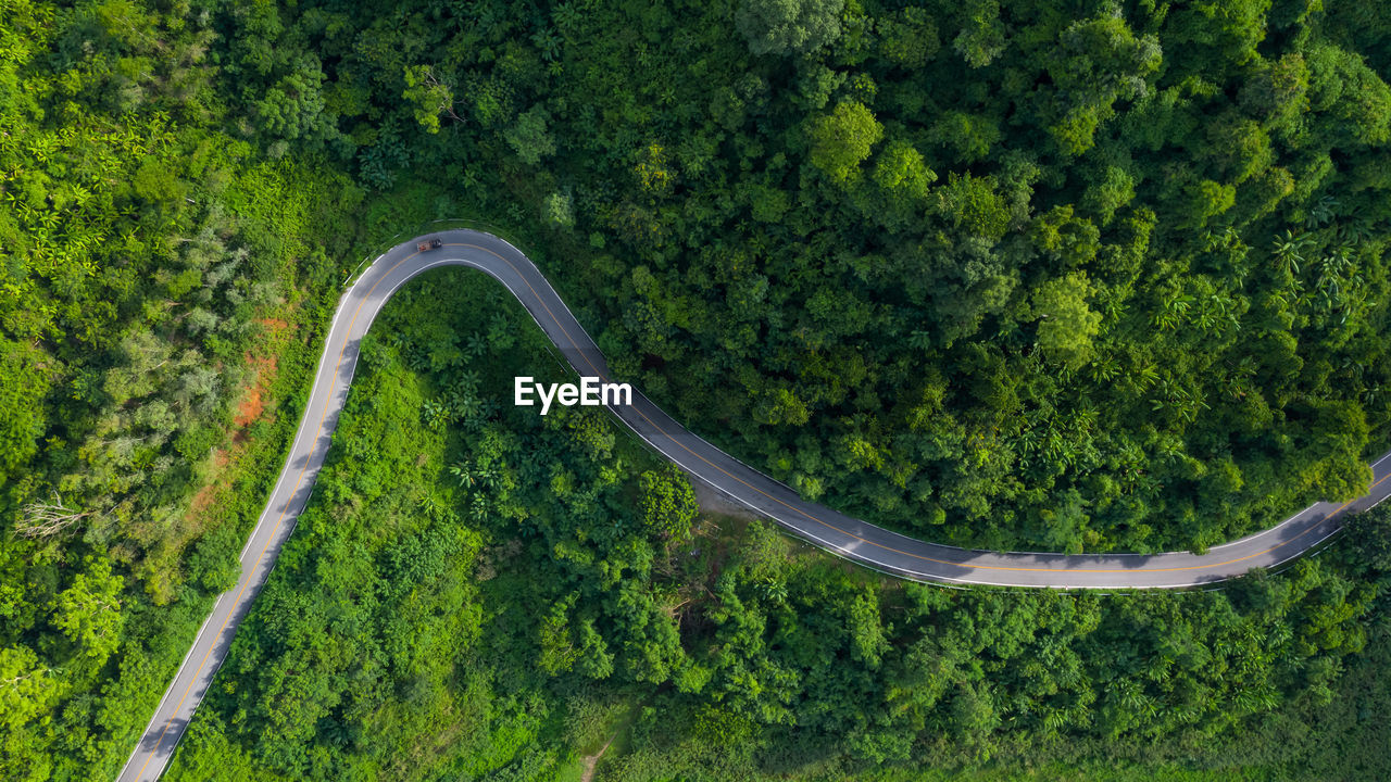 Mountain path and forest in the rain season angle view 