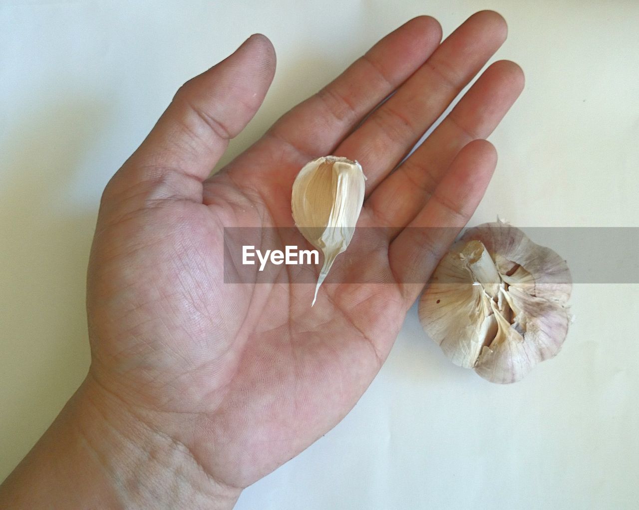 Close-up of hand holding garlic 